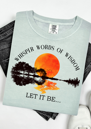 Wisdom & Wild Skies Comfort Colors T-Shirt