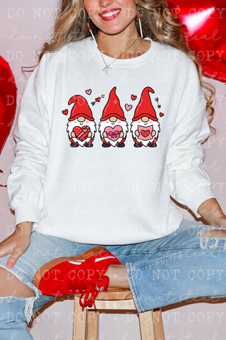 Heartfelt Gnomes Tee or Sweatshirt