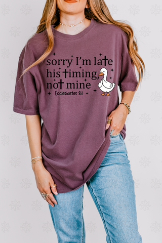 His Timing Not Mine Tee