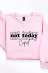 Pink Sweatshirt