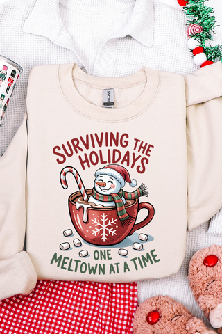 One Meltdown At A Time Sweatshirt