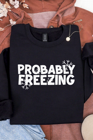 Probably Freezing Sweatshirt