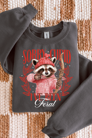 Sorry Cupid Tee or Sweatshirt