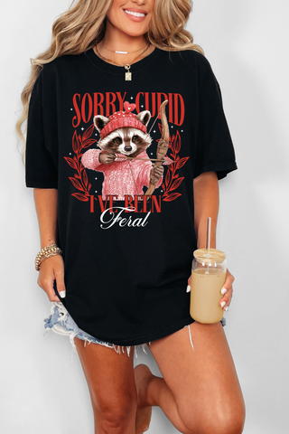 Sorry Cupid Tee or Sweatshirt