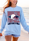 Light Blue Sweatshirt