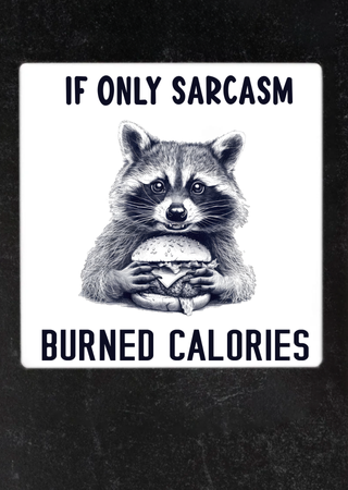 Vintage Raccoon Coaster Set
